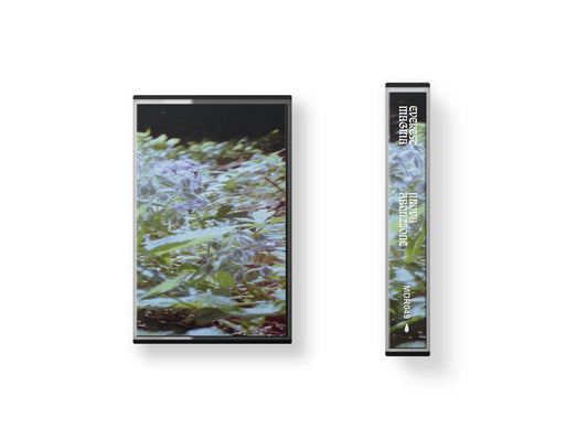 Everest Magma - Nuova Abduzione