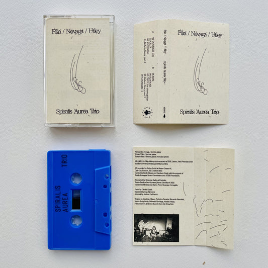 Stefano Pilia, Alessandra Novaga, Adrian Utley - Spiralis Aurea Trio