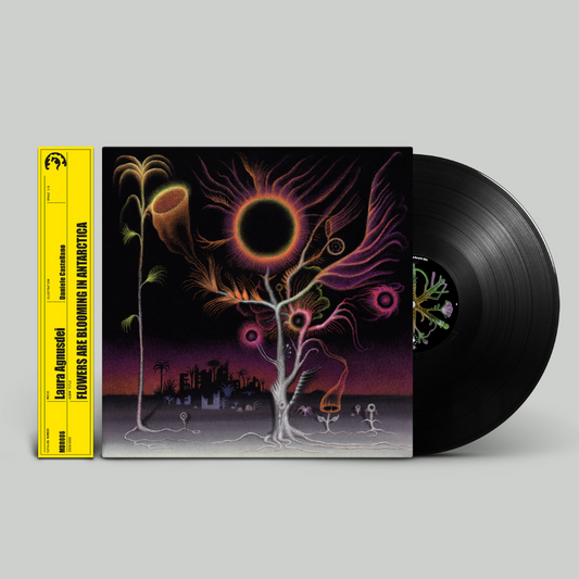 Laura Agnusdei - Flowers Are Blooming In Antarctica