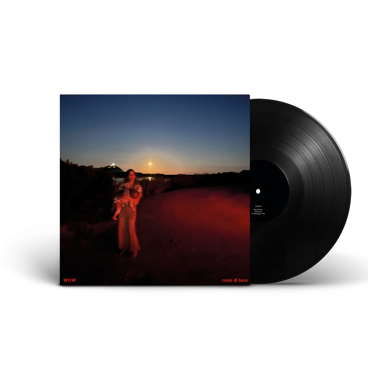 WOW - Rosa di Luce